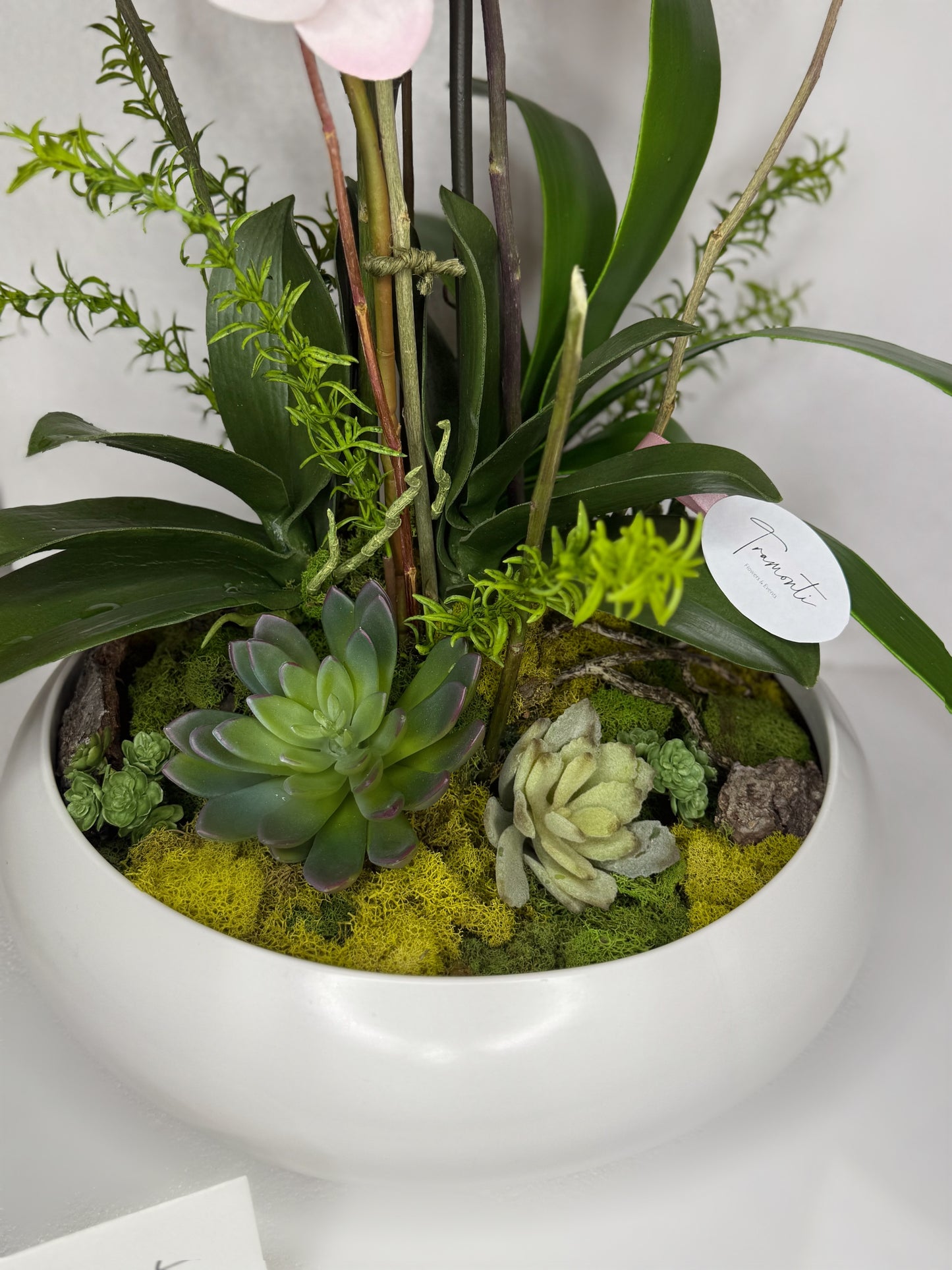 Wild Orchid Enchantment