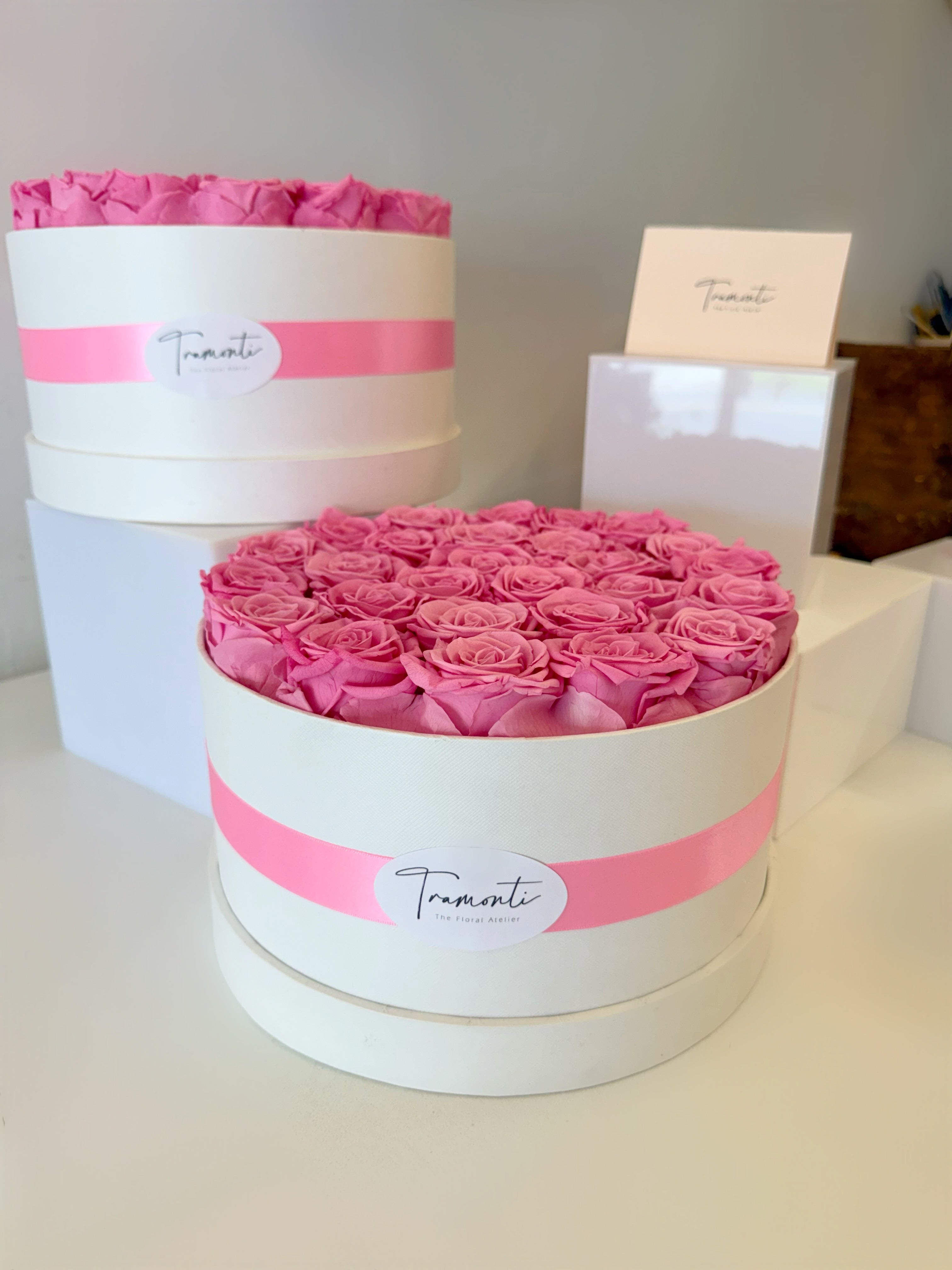 Eternal Cotton Pink Roses