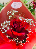 The Power of One Rose