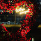 Heartfelt Proposal Setup