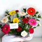 Gerbera Meadow