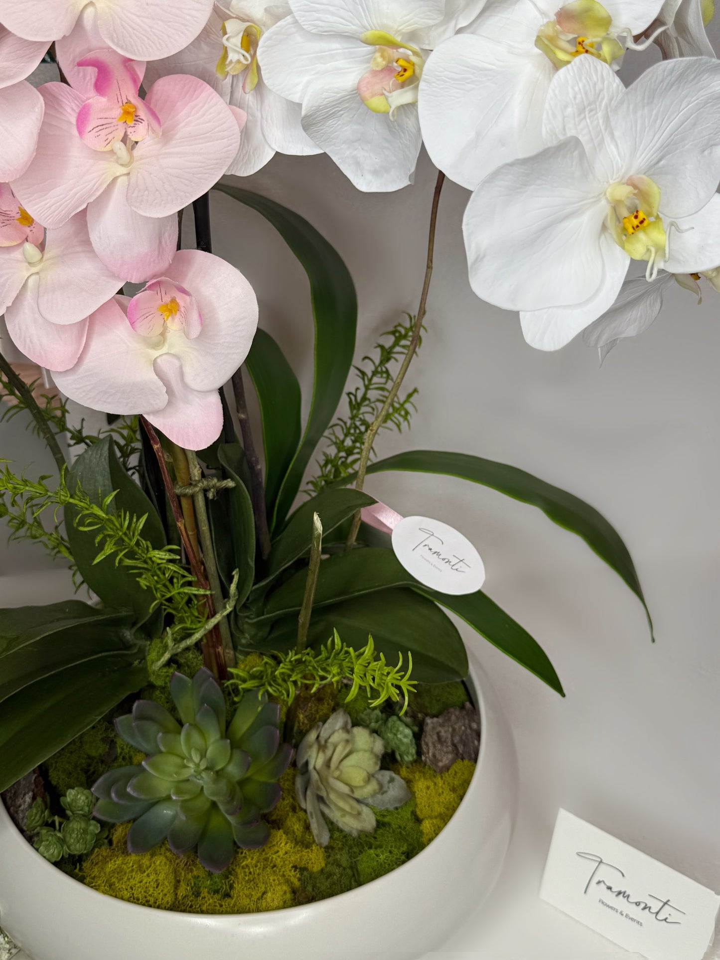 Wild Orchid Enchantment