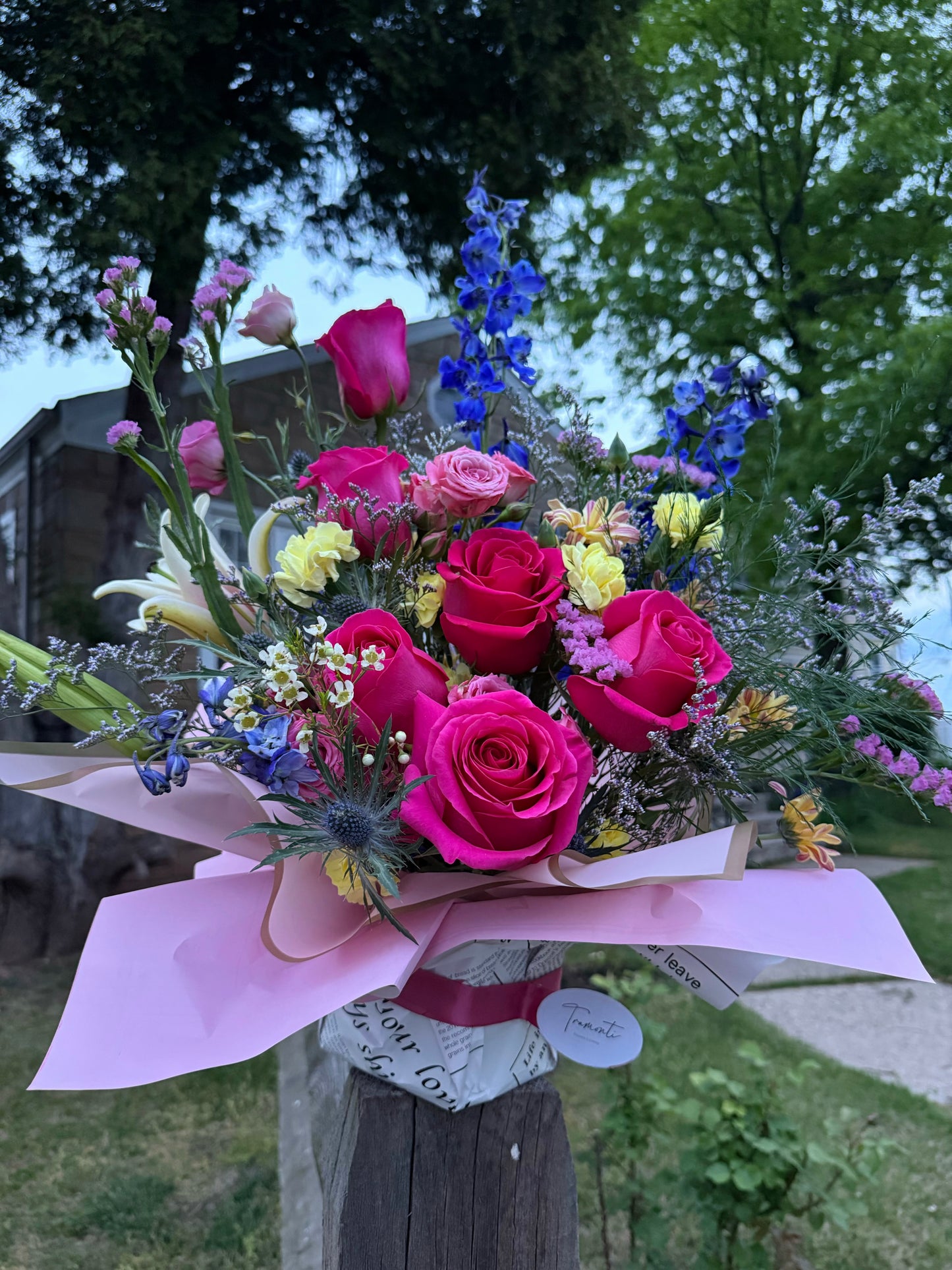 Helena’s Garden Embrace”?