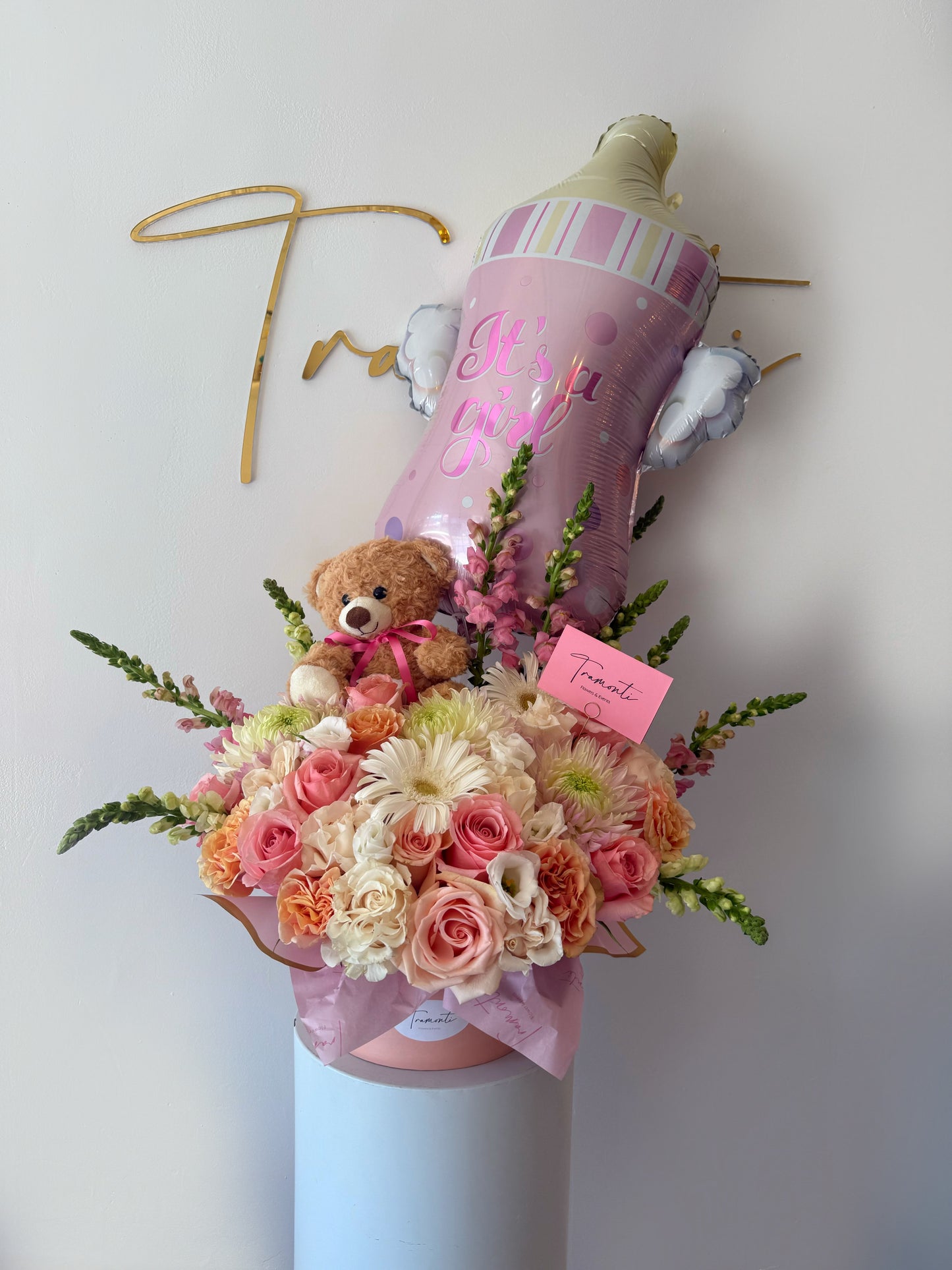 Baby Girl’s First Hug