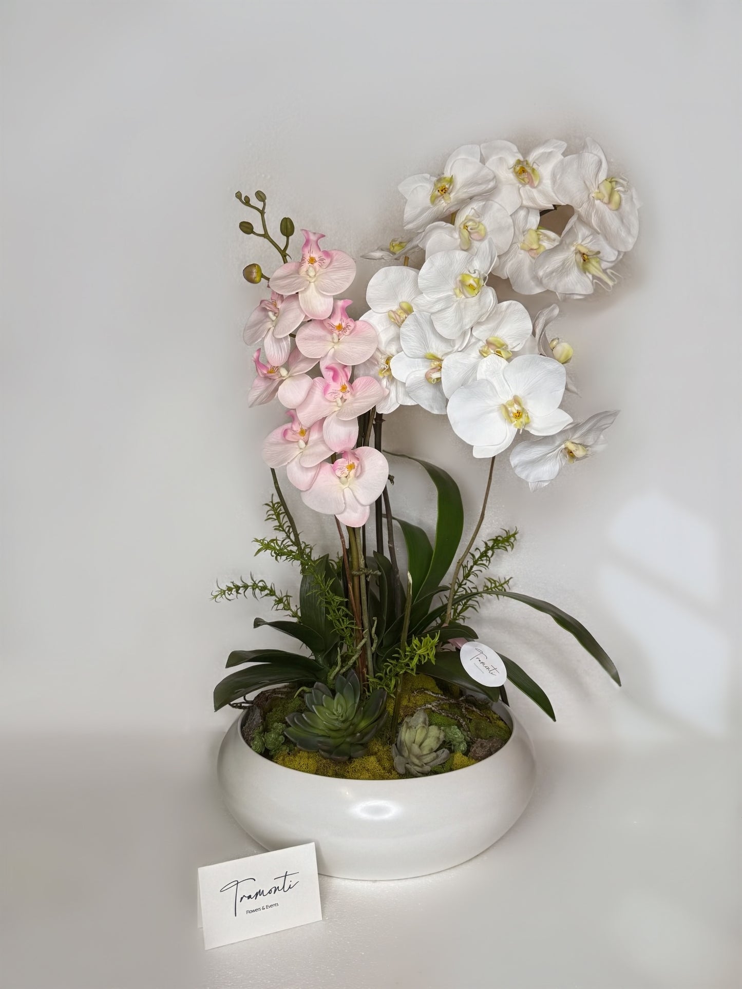 Wild Orchid Enchantment