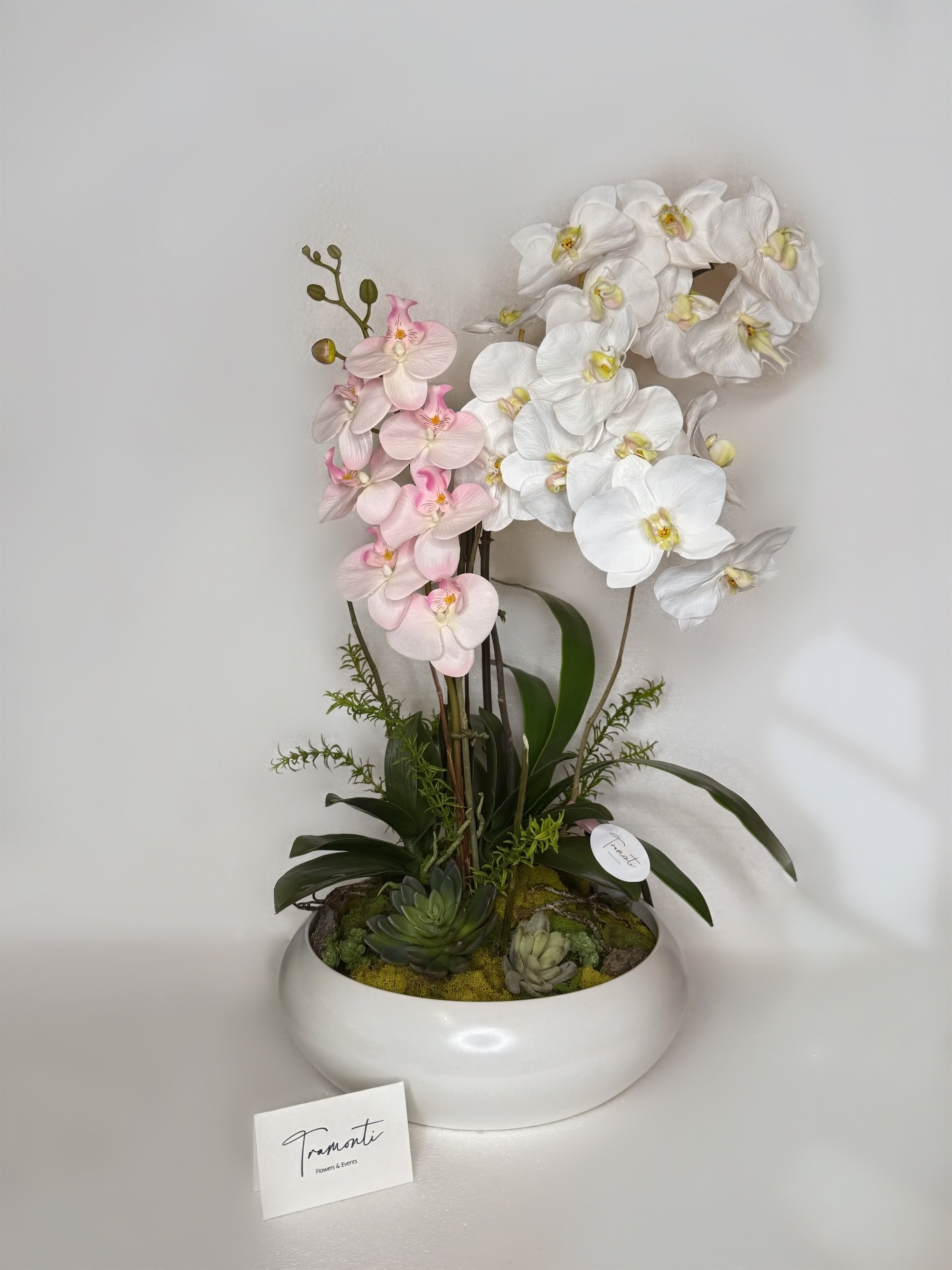 Wild Orchid Enchantment