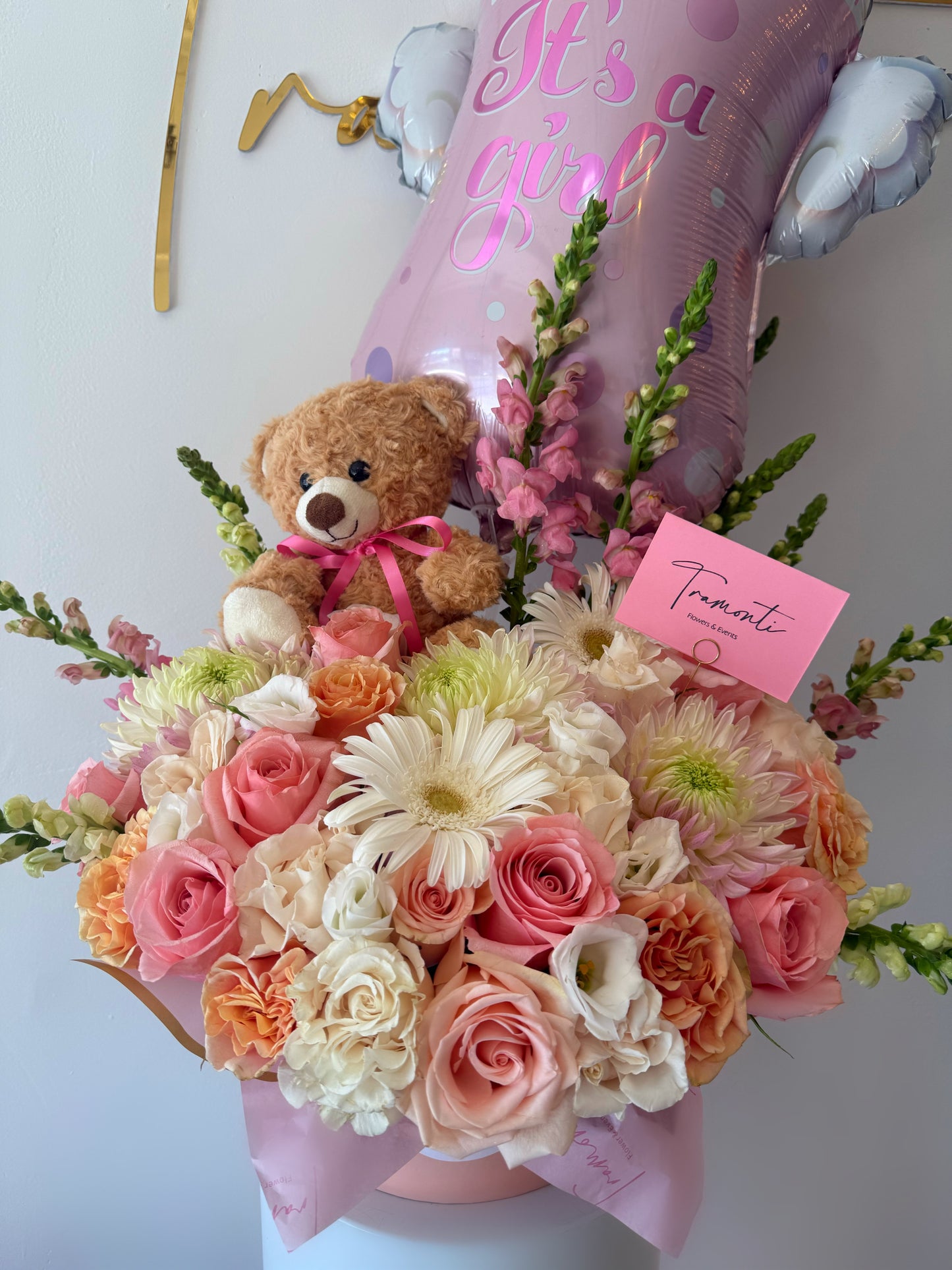 Baby Girl’s First Hug