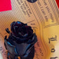 Eternal Ink: A Love Unwritten