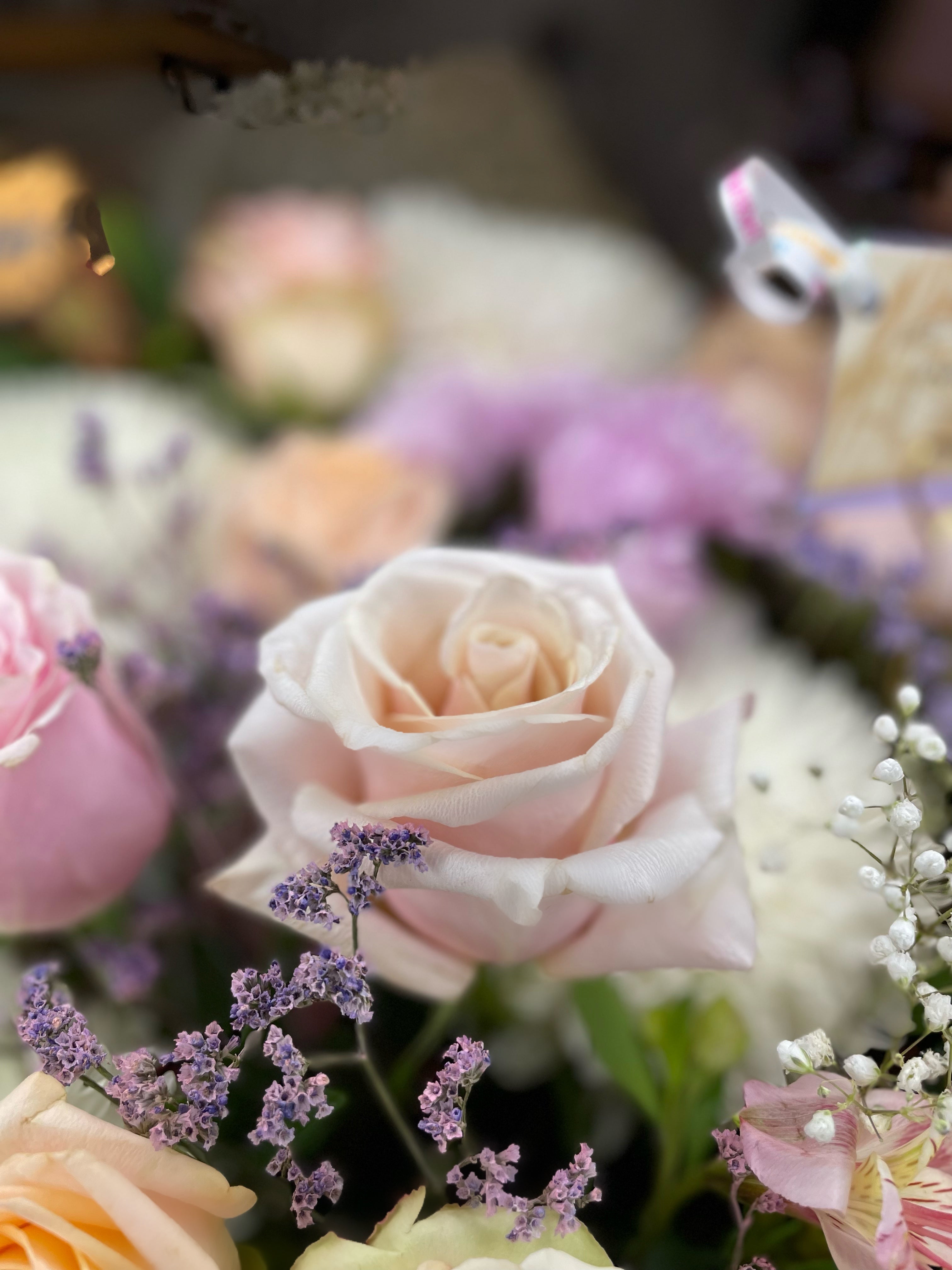 Delicate Dance of Love