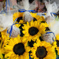 Sunflower Field