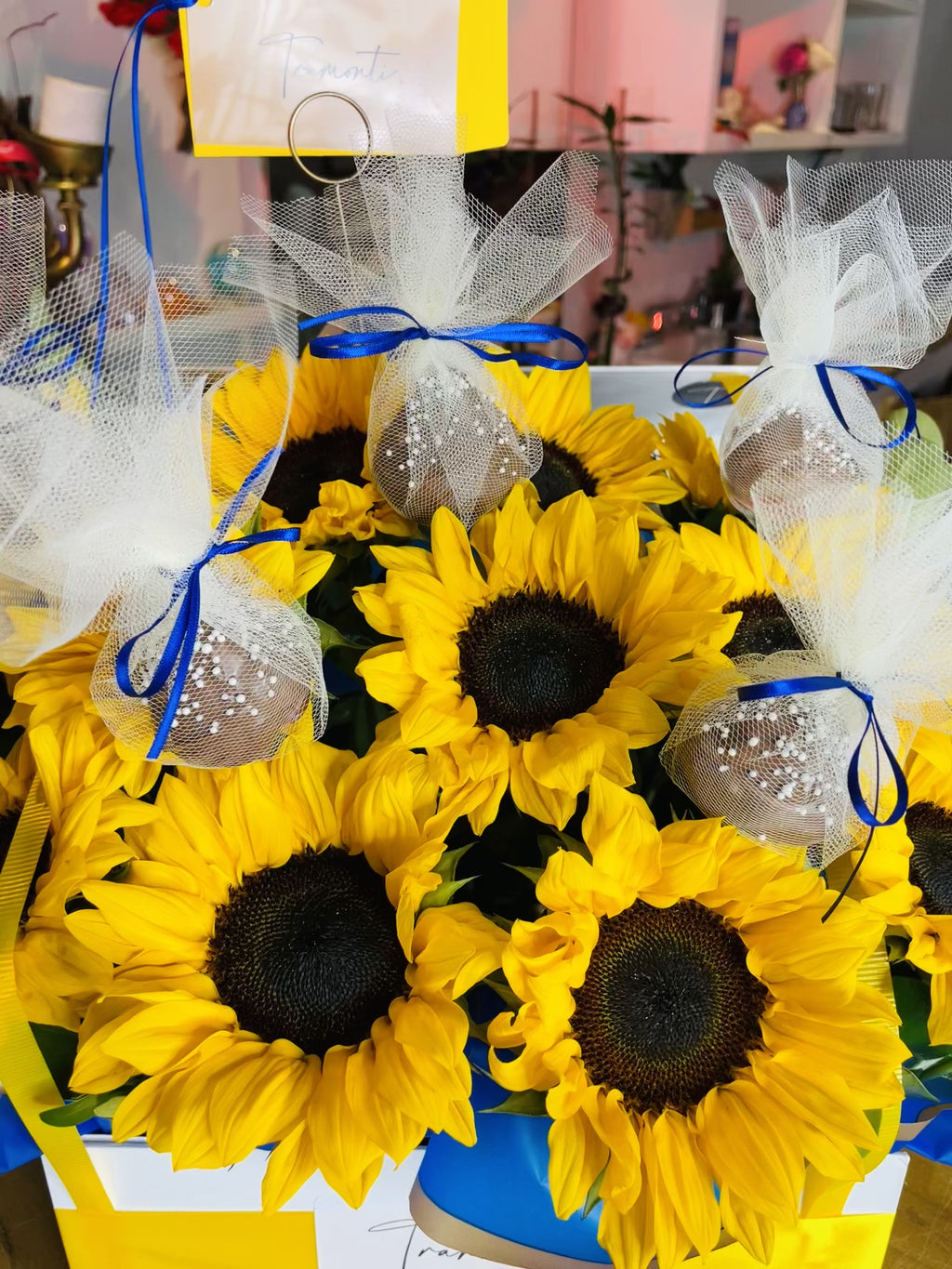 Sunflower Field