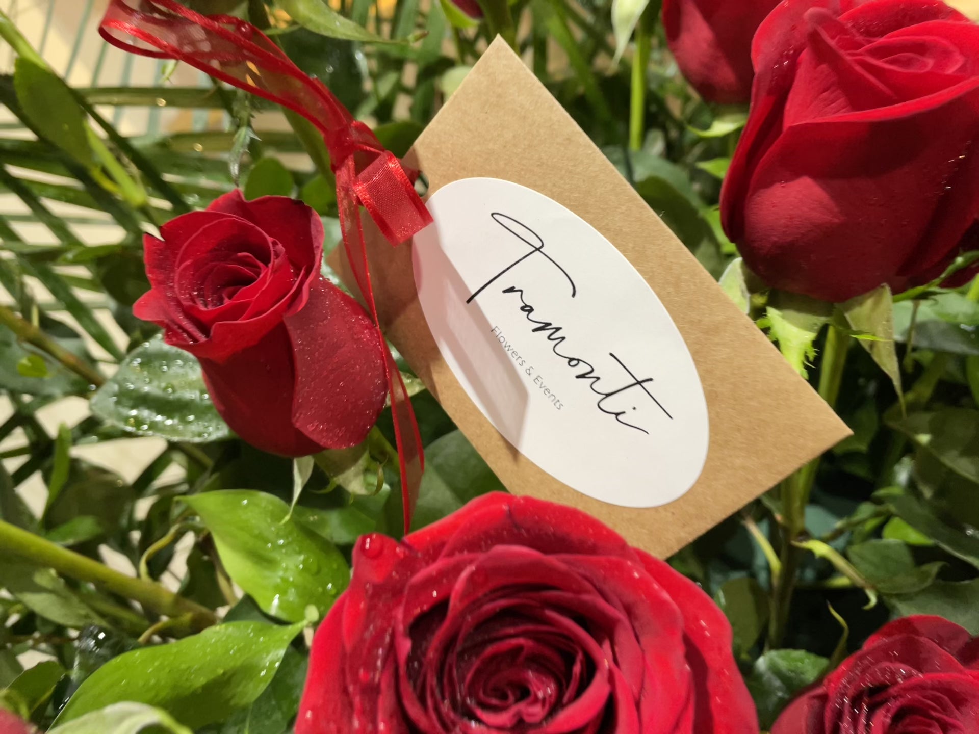 Blooms of Passion: 60 Red Roses in a Greenberg Elegance Basket