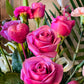 Sweet - Tramonti Flowers & Events